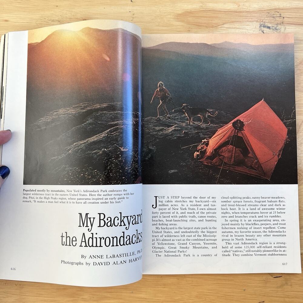 Vintage National Geographic May 1975 Adirondacks Rhodesia Baboons Nazca Lines - Picture 5 of 11
